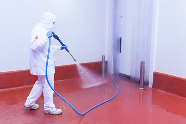 Paint Preparation in Chicago Heights, IL