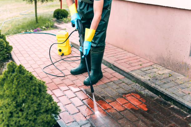 Best Roof Washing  in Chicago Heights, IL